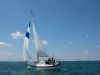 Someday - Grosse Isle Someday - Grosse Isle